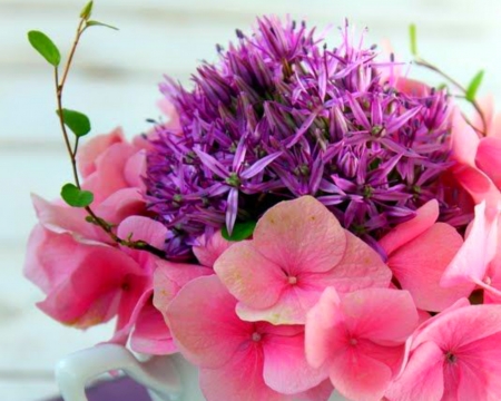 Lovely Flowers - purple, bloom, petals, pink, flowers