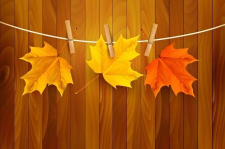 Happy Autumn! - wood, autumn, yellow, red, orange, card, leaf