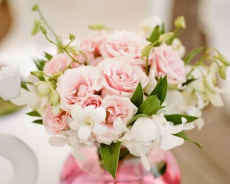 Lovely Pink Flowers - flowers, roses, pink, bloom