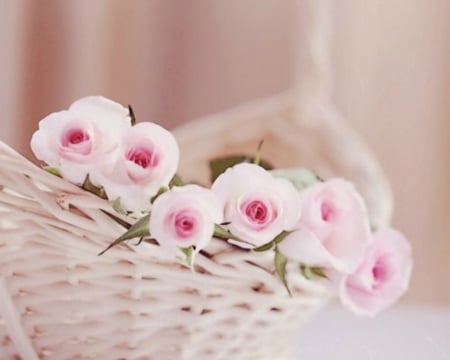 Lovely Flowers - flowers, basket, pink, bloom