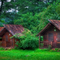 forest log cabins