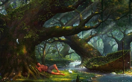 Deep in the Forest - art, forest, trees, man