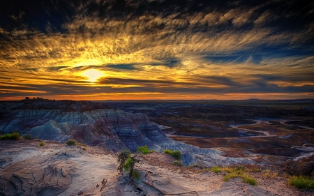 Arizona - arizona, landscape, sunset, forrest, petrified