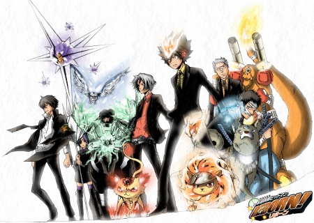 Katekyo Hitman Reborn - tsuna, hibari, vongola, katekyo hitman reborn, anime boy