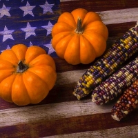 Indian Corns & Pumpkins