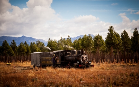 an old steam locomotive in argentina - steam, train, trees, grass, mountains