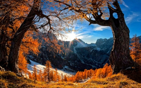 Snowy Autumn - trees, mountains, fall, forest, clouds, snow, beautiful, grass, sunrise