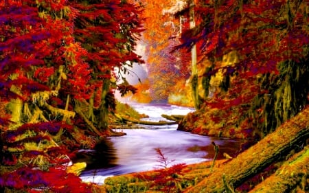 creek in a colorful autumn forest - logs, autumn, creek, colors, forest