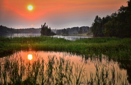 Lake Sunset - lake, reflection, trees, sunset, nature