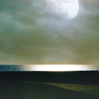 Man and Sea