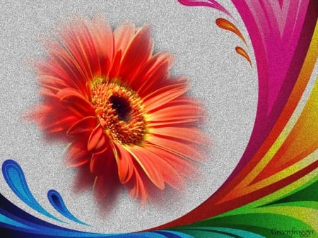 DAISY - creation, daisy, art, abstract