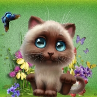 KITTY IN GARDEN