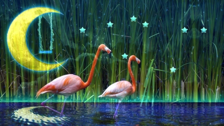 DAYDREAM Moonlight At Palavas-Les-Flots - moon, pink floyd, water, night, bird, star, pink, photoshop, moonlight