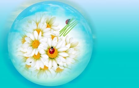 ~ Daisies and ladybugs ~ - bubble, pretty, blue, digital, ladybugs, art, sky, Daisies