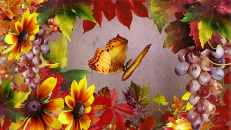 Bright Autumn Butterfly - butterflies, harvest, black eyed susans, leaves, flowers, fall, grapes, Firefox Persona theme, autumn, bright