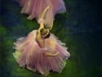 Ballerina Girl