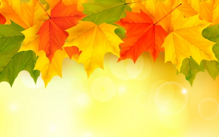 Happy Autumn! - autumn, yellow, orange, green, card, leaf