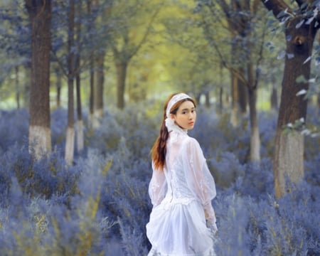 Beauty - trees, woman, beauty, model