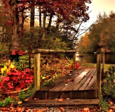 Autumn Colors - nature, autumn, bridge, leafs