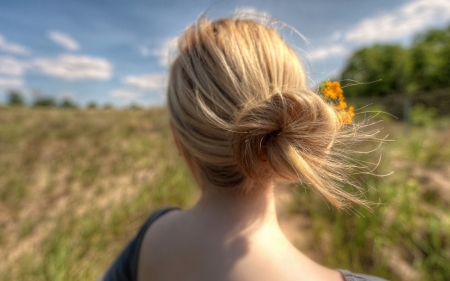 Blonde - pretty, blonde, girl, feild