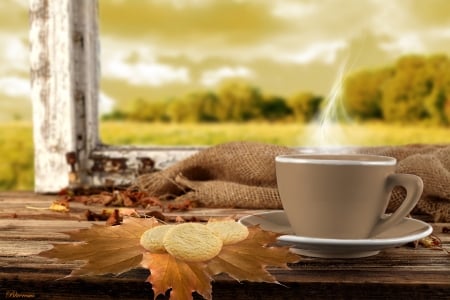 *In autumn morning* - coffee, hot, window, cafe, forest, leaves, bisquits, drink, autumn, view, time, hq, good morning, day, cup