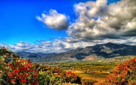 Countryside - blossoms, sky, mountains, landscape, clouds, field