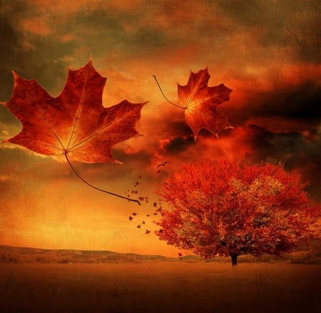 *Autumn breeze* - breeze, air, colors, fall season, orange, leaves, tree, season, autumn