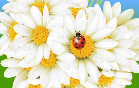 ~ pretty daisies ~ - white, beauty, ladybug, pretty, blue, beautiful, daisies