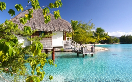 Water Villa - nature, ocean, trees, bora bora, lagoon, water villa, bungalow