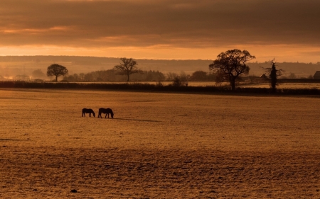 Far away... - field, nature, rural, sky