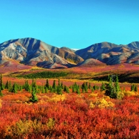 Autumn in Alaska