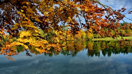 Autumn Time - sky, lake, leaves, trees