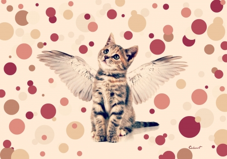 Fantasy kitten - bird, by cehenot, pink, cat, fantasy, white, animal, kitten, red, wings, bubbles, dot