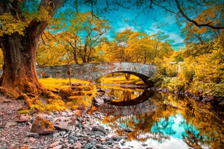 Autumn Reflections - fall, trees, river, leaves, colors, bridge