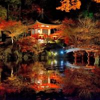 Kyoto nature