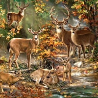 Deers in Autumn