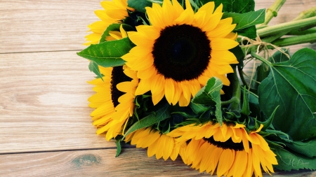 Sunflowers on Deck - sunflowers, summer, wood, sunshine, bouquet, flowers, fall, autumn, deck