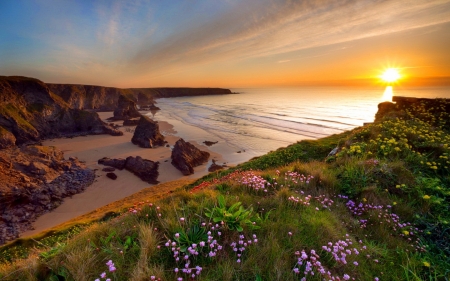 Sea coast - summer, coast, beach, beautiful, sea, sunrise, ocean, reflection, wildflowers, glow, cview, shore, sunset, view, sky, rocks