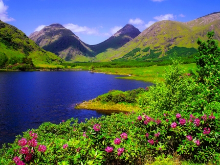 Flowers near blue lake - sky, lake, hills, mountain, summer, blue, beautiful, flowers, grass