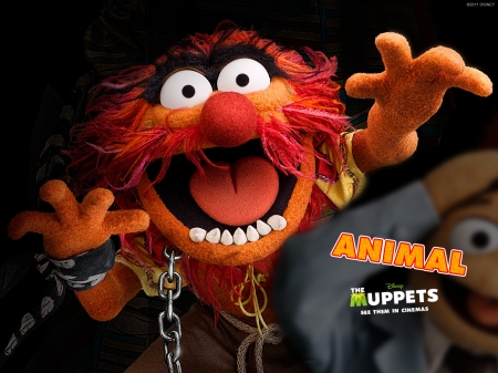 Jim Hensons Muppets - Muppets, Animal, Freaky, Drummer