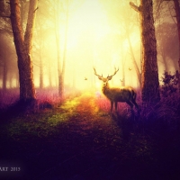 Deer in the Forest