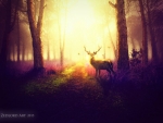 Deer in the Forest