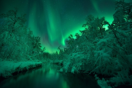 Northern Lights over the Forest - river, night, winter, forest