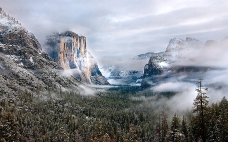 Yosemite Valley - mountains, firs, landscape, clouds, mist