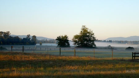 Morning Fog - widescreen, fall, fog, autumn, fields, country, farm, washington