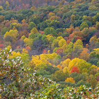 Autumn colors