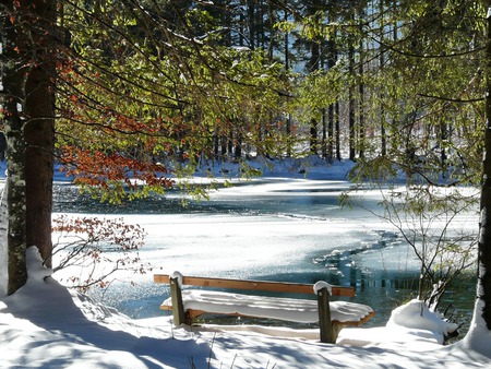 	Park in the winter - winter, park