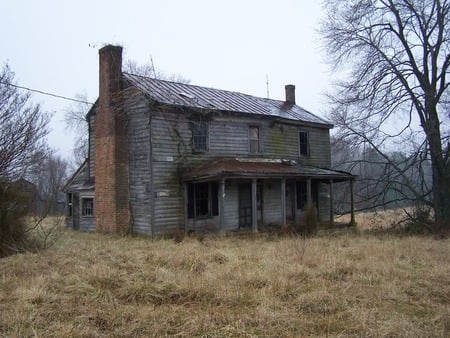 Ramshackle Building - dry grass, building, old house, trees, abandoned