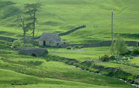 Green Acres - acreage, buildings, farm house, green grassy fields