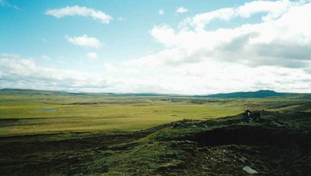 Fields of Green - gentle hills, green grass, fields